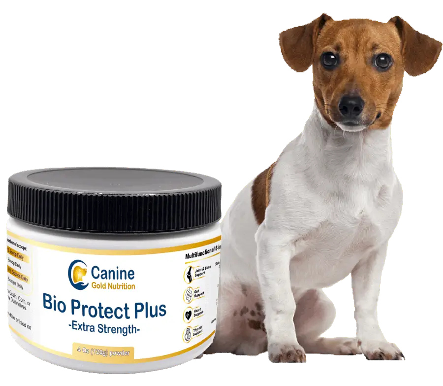 bio-protect-plus-image-with-dog (1)